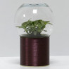 Terrarium déco cuivre brossé