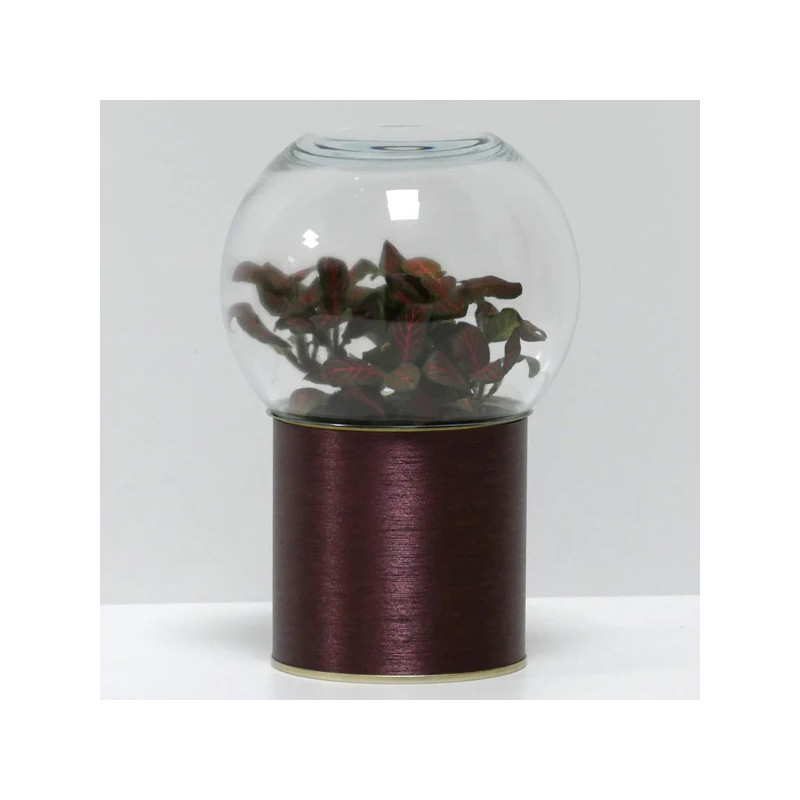 Terrarium déco cuivre brossé