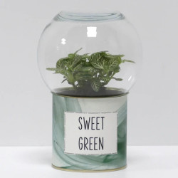 Terrarium déco Sweet green