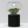 Terrarium déco motifs noirs