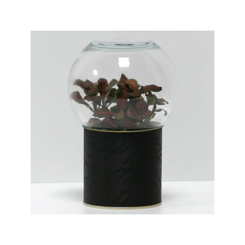 Terrarium déco motifs noirs