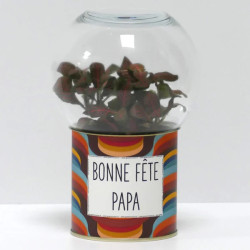 Terrarium déco Bonne fête papa