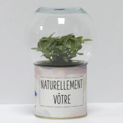 Terrarium déco Naturellement vôtre