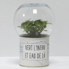 Terrarium déco Vert l'infini et eau de là