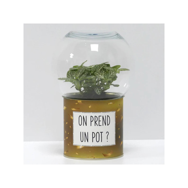 Terrarium déco On prend un pot ?