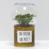 Terrarium déco On prend un pot ?