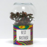 Terrarium déco Best brother