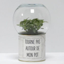 Terrarium déco Tourne pas autour de mon pot