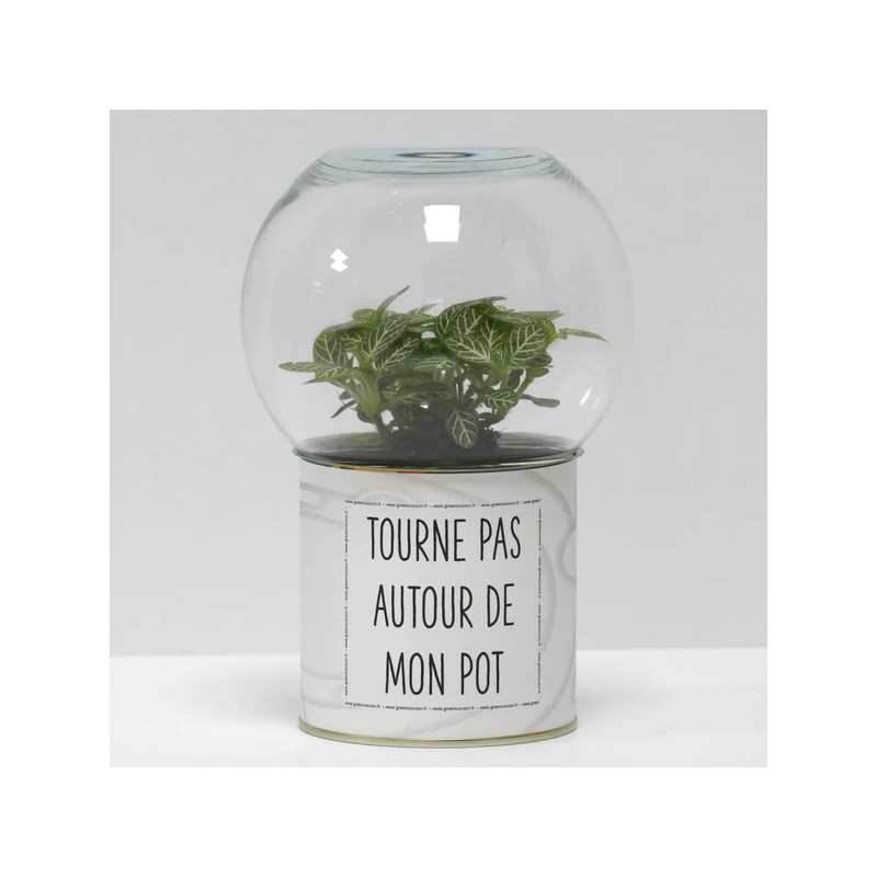 Terrarium déco Tourne pas autour de mon pot