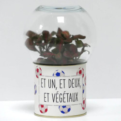 Terrarium déco Et un, et deux, et végétaux