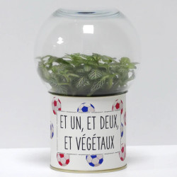 Terrarium déco Et un, et deux, et végétaux