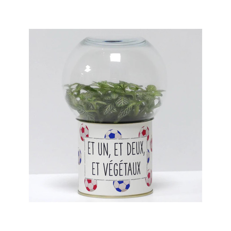 Terrarium déco Et un, et deux, et végétaux