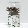 Terrarium déco Serial flower