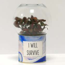 Terrarium déco I will survive