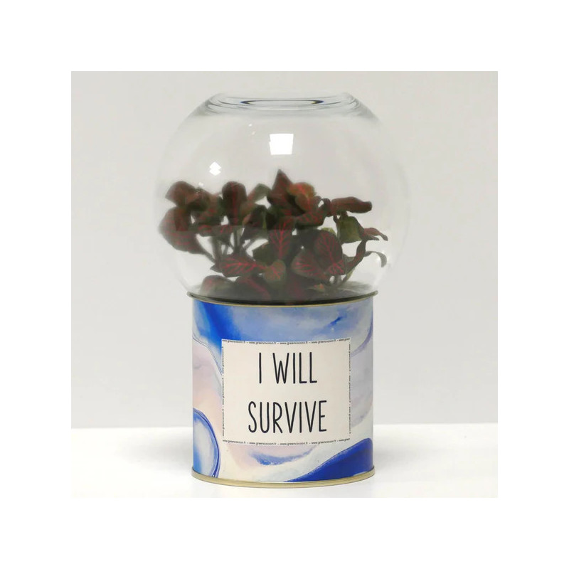 Terrarium déco I will survive