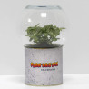 Terrarium déco Plantastik