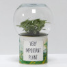 Terrarium déco Very Important Plant