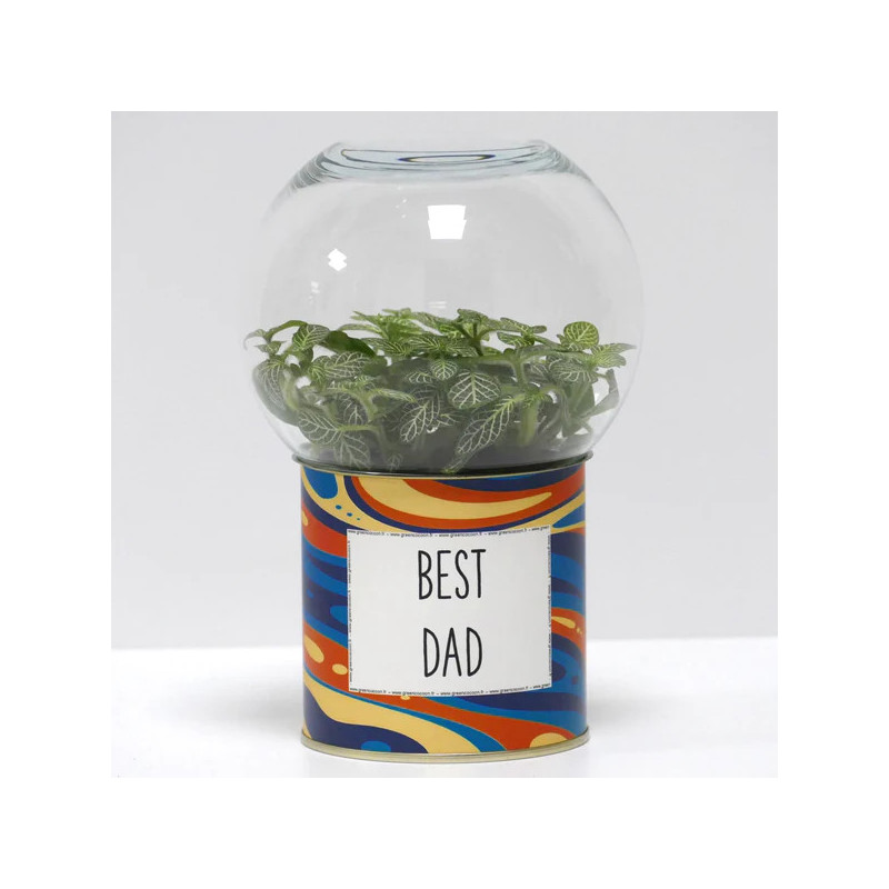 Terrarium déco Best dad