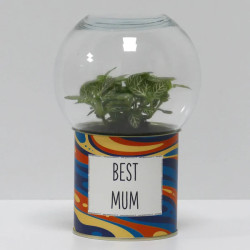 Terrarium déco Best mum