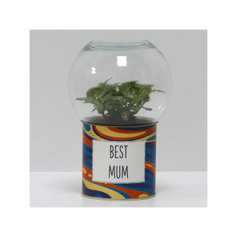 Terrarium déco Best mum