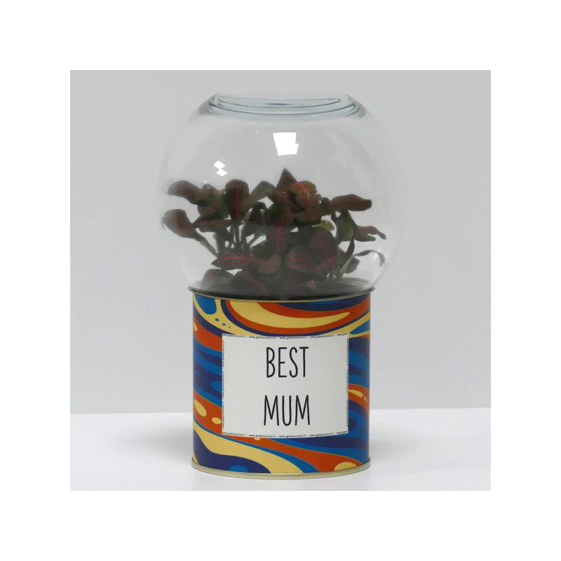 Terrarium déco Best mum