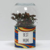 Terrarium déco Best mum