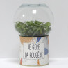 Terrarium déco Je gère la fougère