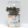 Terrarium déco Je gère la fougère