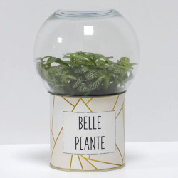 Terrarium déco Belle plante