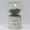 Terrarium déco Sois belle et tais-toi