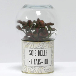 Terrarium déco Sois belle et tais-toi