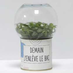 Terrarium déco Demain j'enlève le bac