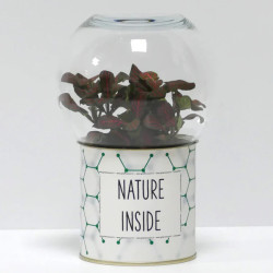 Terrarium déco Nature inside