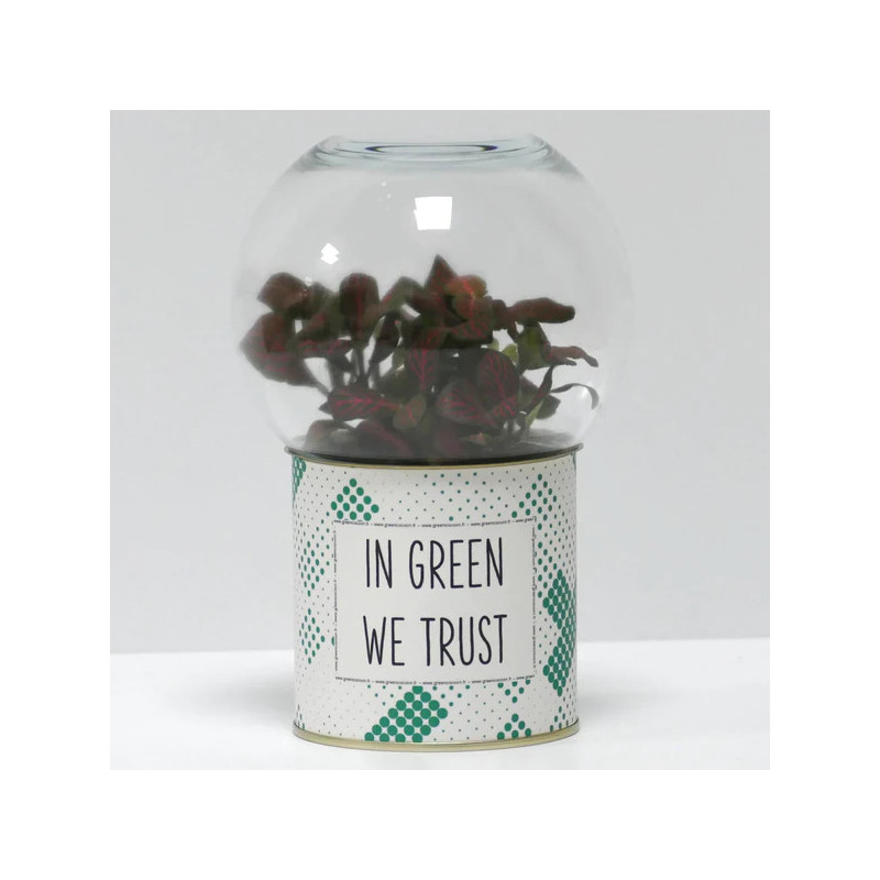 Terrarium déco In green we trust