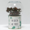 Terrarium déco In green we trust