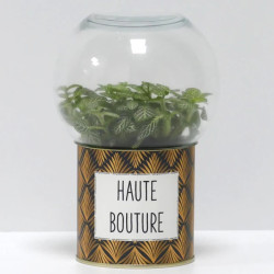 Terrarium déco Haute bouture